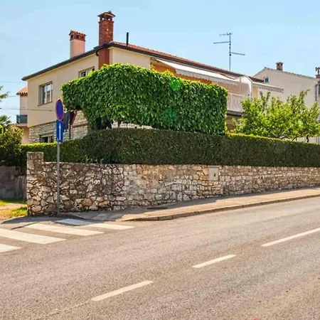 Mario * Ρόβινι